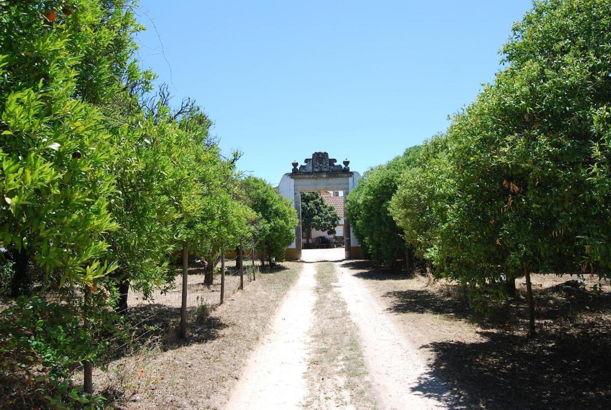 Villa Quinta Do Casalinho - Benfica Do Ribatejo Esterno foto